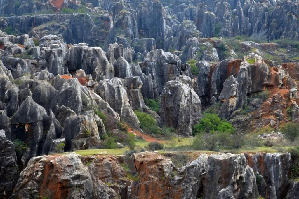 Casa Rural La Vega Cazalla de la Sierra Ngoại thất bức ảnh